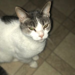 Meet your Posher, Justine